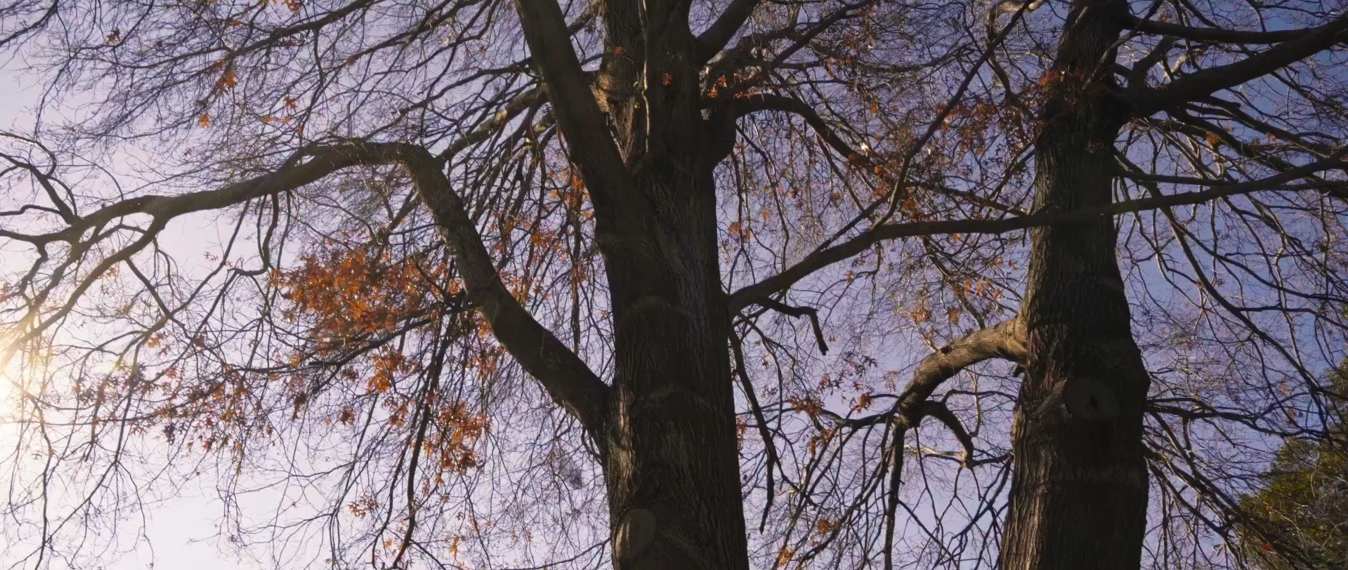 Maggi - Open Up The Kitchen - Priya (Director’s Cut)